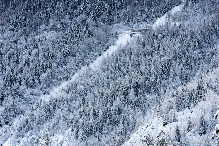 I colori dell'inverno ad Erto - foto 10 - Gianluca Dario Photography